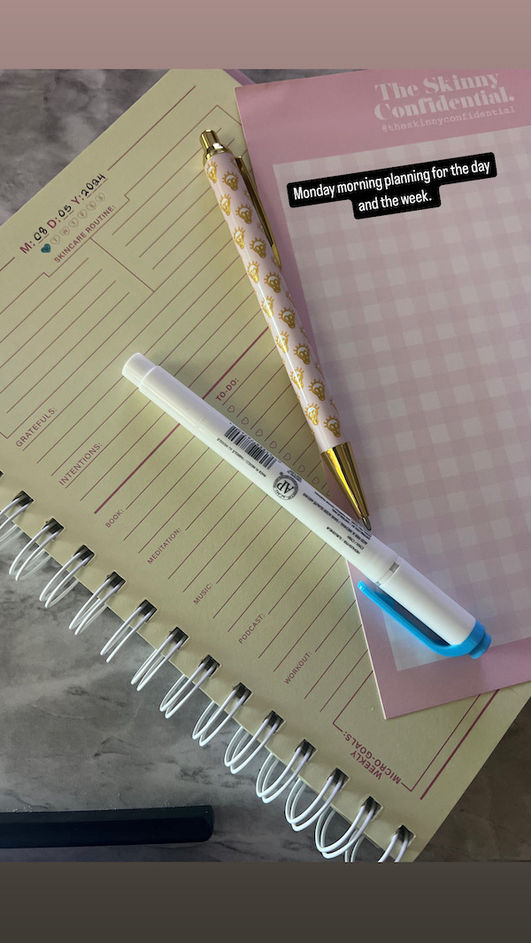Planner with highlighter and ink pen.